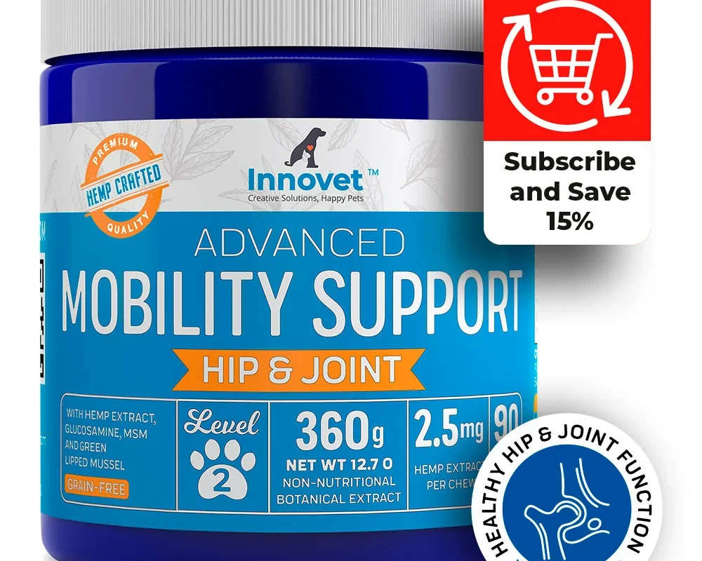 Meal Prep for Your Dog How Chef Paw Simplifies Homemade Nutrition in 40 Minutes