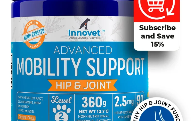 Meal Prep for Your Dog How Chef Paw Simplifies Homemade Nutrition in 40 Minutes