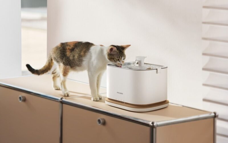 Smart Water Fountains for Cats Encouraging Healthy Hydration