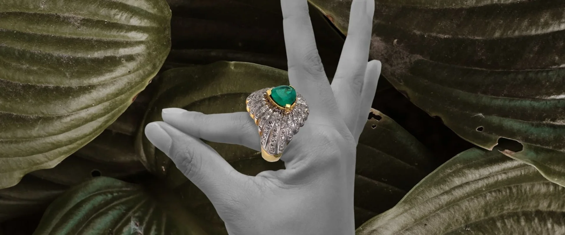 Elvorique Jewelry – Elegant Pieces That Add Sparkle to Every Occasion