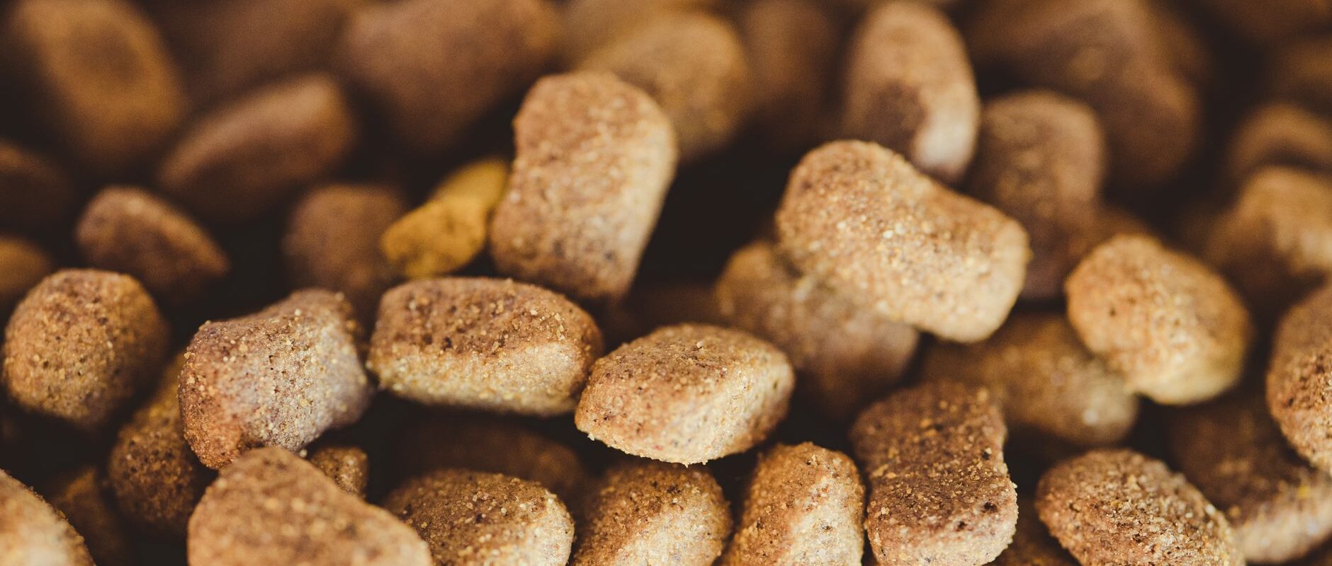 Premium Nutrition for Dogs Why AATU’s Ingredient Quality Matters