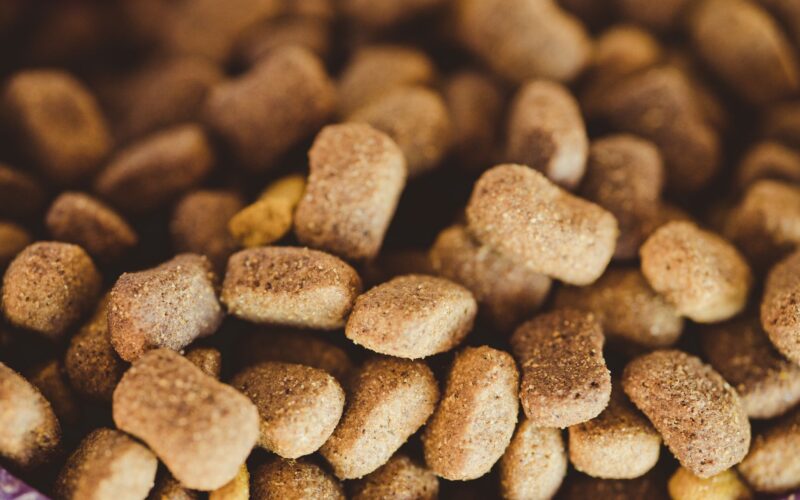 Premium Nutrition for Dogs Why AATU’s Ingredient Quality Matters