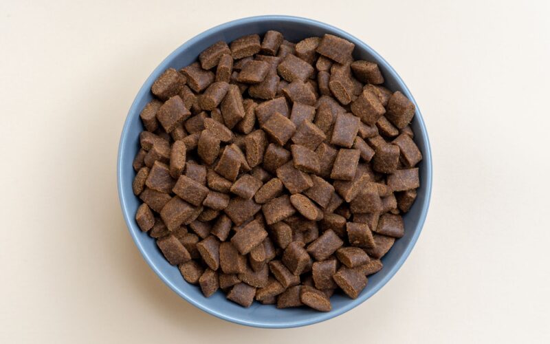Premium Pet Food Ingredients Grain-Free Nutrition and Natural Quality Advantages