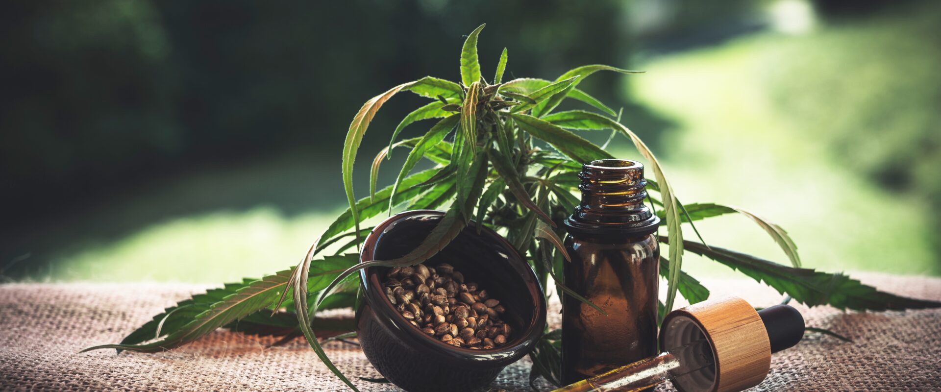 Cannabis Strains Explained Choosing Products That Match Your Therapeutic Needs