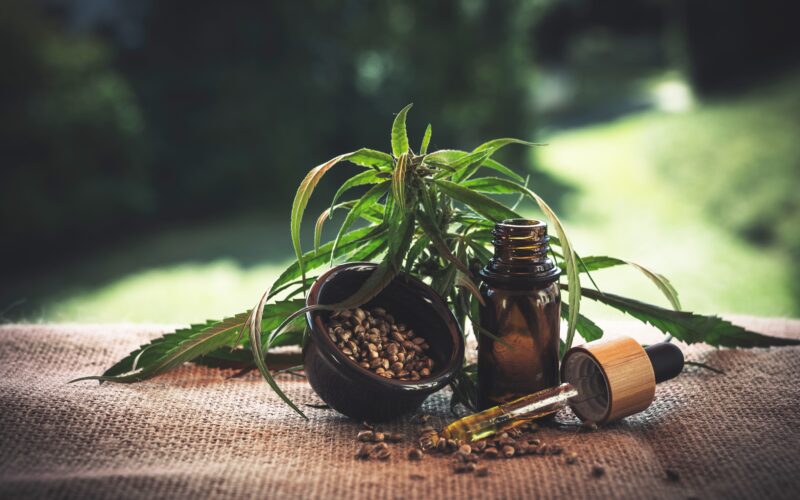 Cannabis Strains Explained Choosing Products That Match Your Therapeutic Needs