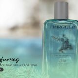 Transform Your Home with Thoughtful Fragrance Today’s Lifestyle Collection