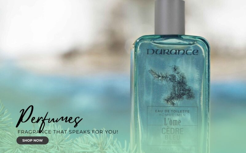 Transform Your Home with Thoughtful Fragrance Today’s Lifestyle Collection