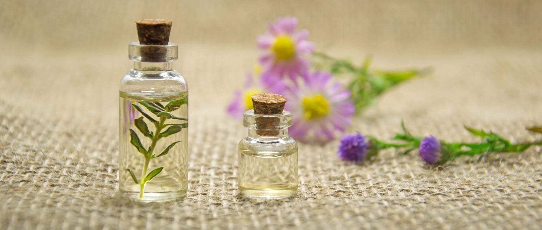 How NeuroScent’s Science-Backed Botanical Blends Rewire Your Brain’s Emotional Response