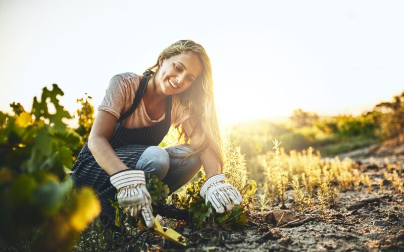 The Anti-Aging Breakthrough How Premium Organic Treatments Challenge Synthetic Solutions