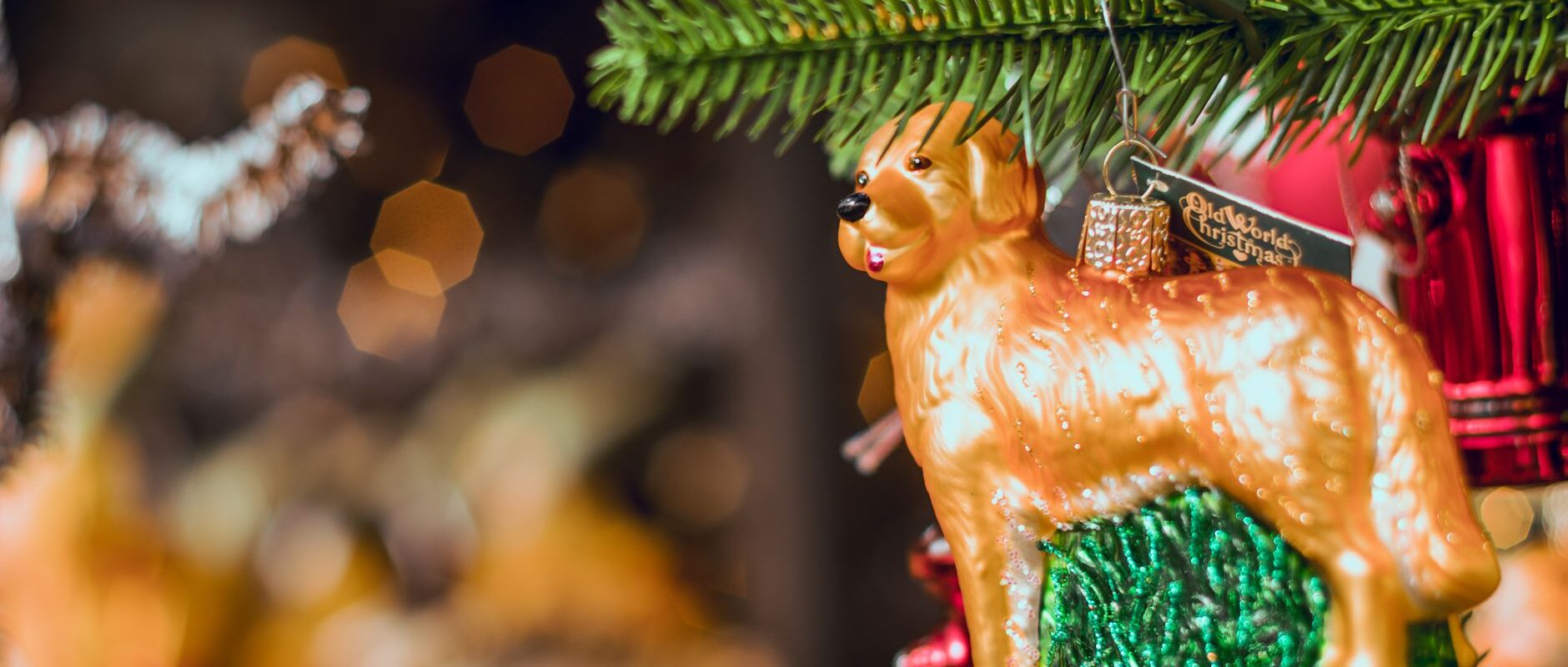 The Gift That Endures Finding Meaningful Ornaments for Your Most Precious Moments