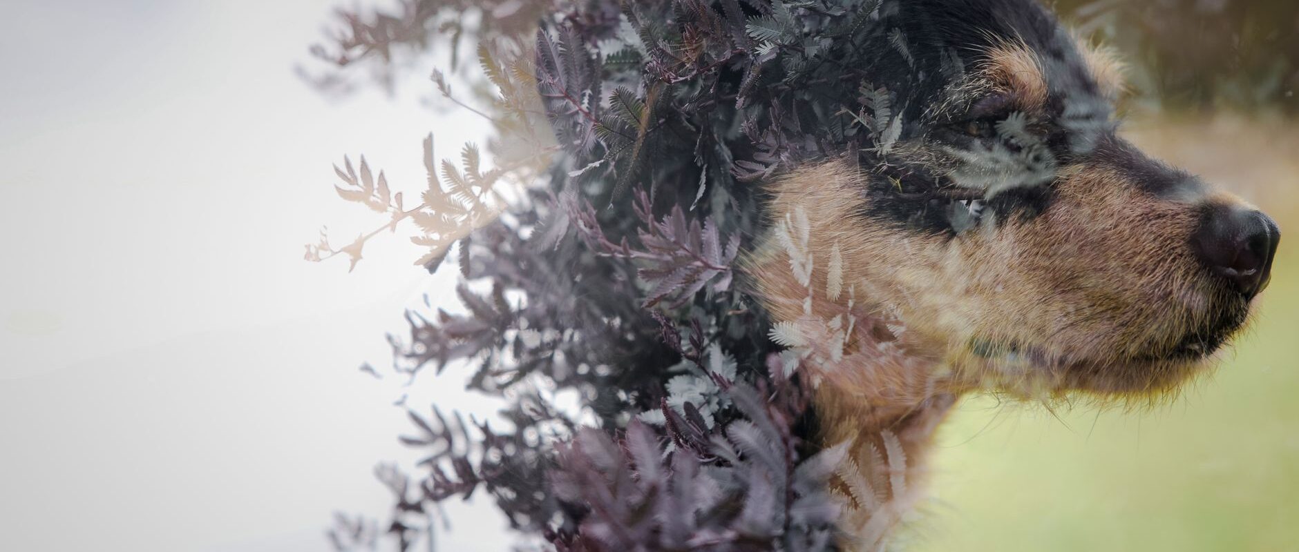 The Art of Transformation From Photo to Portrait Masterpiece