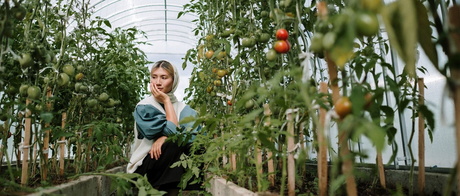 Greenhouses for Gardening Extend Your Growing Season Year-Round