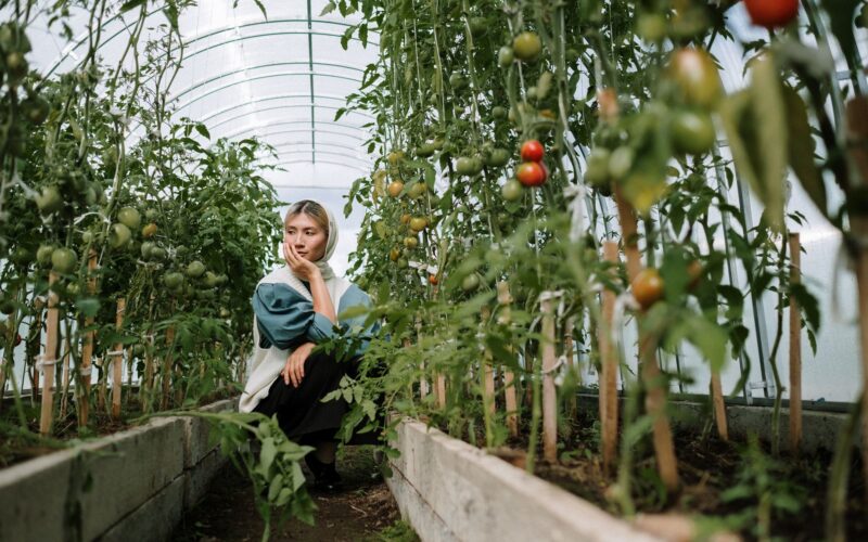 Greenhouses for Gardening Extend Your Growing Season Year-Round