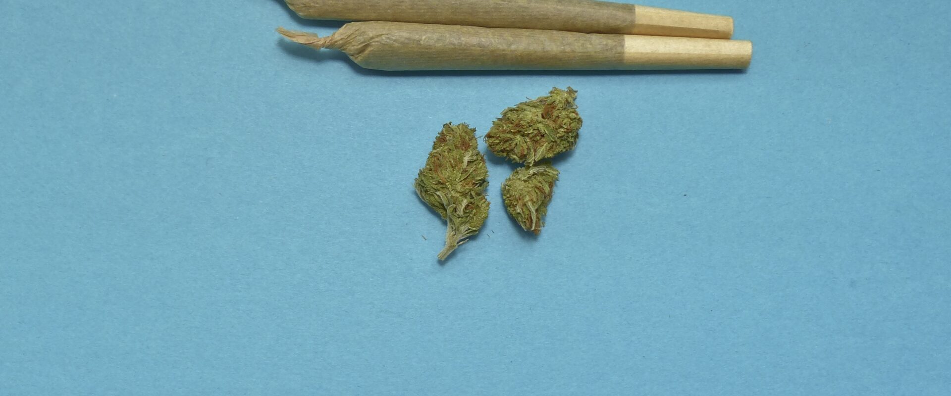 Medical Cannabis Benefits Understanding Therapeutic Applications for Common Conditions