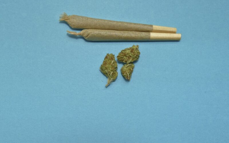 Medical Cannabis Benefits Understanding Therapeutic Applications for Common Conditions