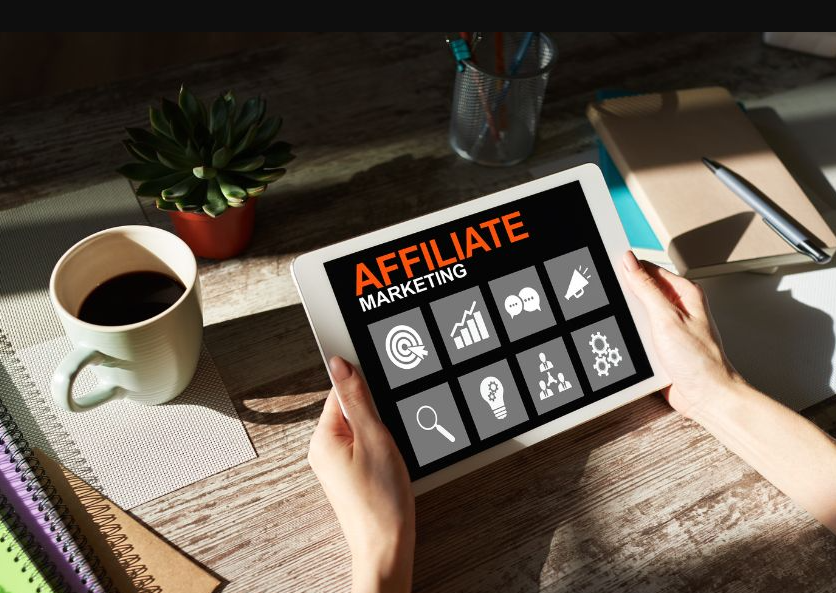 Best Practices from Top Profeliz Affiliates Proven Strategies for Exceptional Results