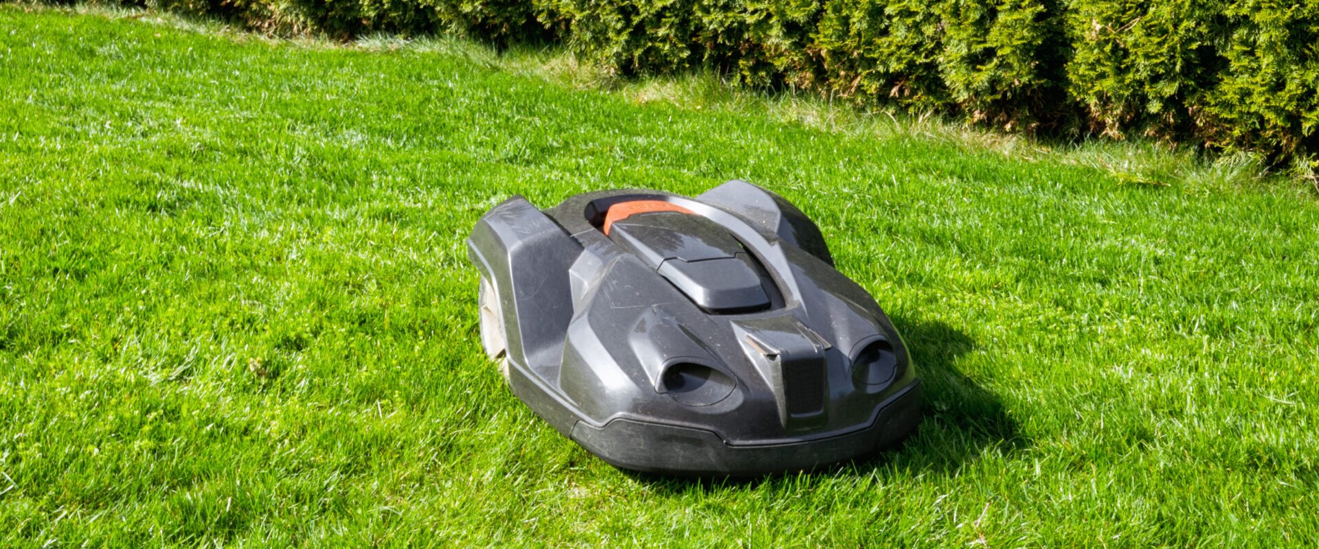 Roboterrasen ohne Grenzen  Wie Navimow EU Ihren Garten automatisiert