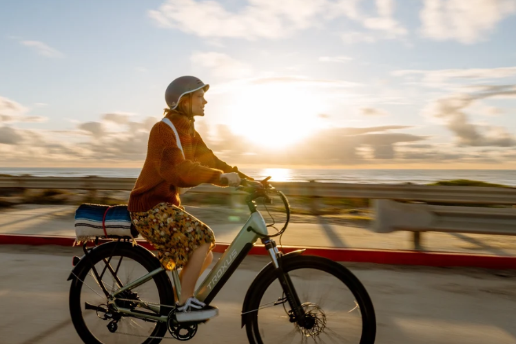 Sustainable Electric Bikes Choose Eco-Friendly Transportation Without Compromise