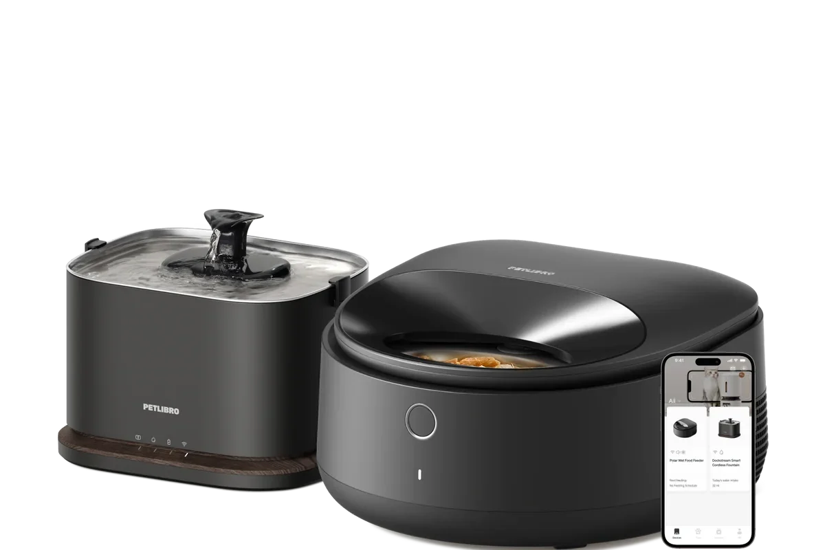 Multi-Pet Peace of Mind How Smart RFID Feeders End Mealtime Chaos