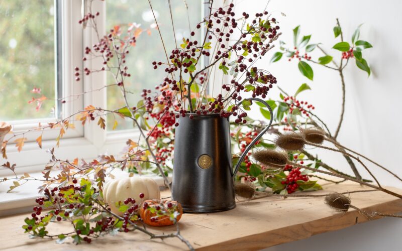 From Watering to Wow Factor: Why the Haws Jug Earns Its Place Indoors