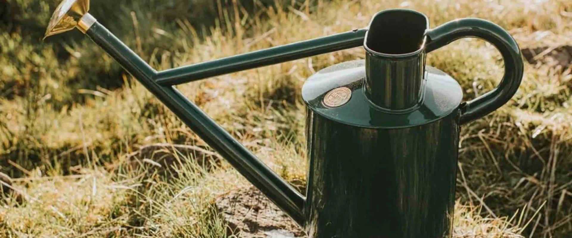 Watering and Gardening Tools Creating Thriving Gardens with Quality Products