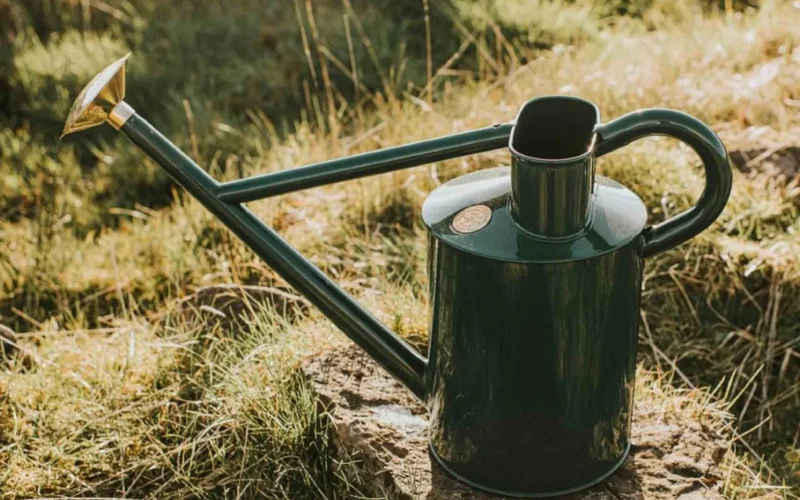 Watering and Gardening Tools Creating Thriving Gardens with Quality Products