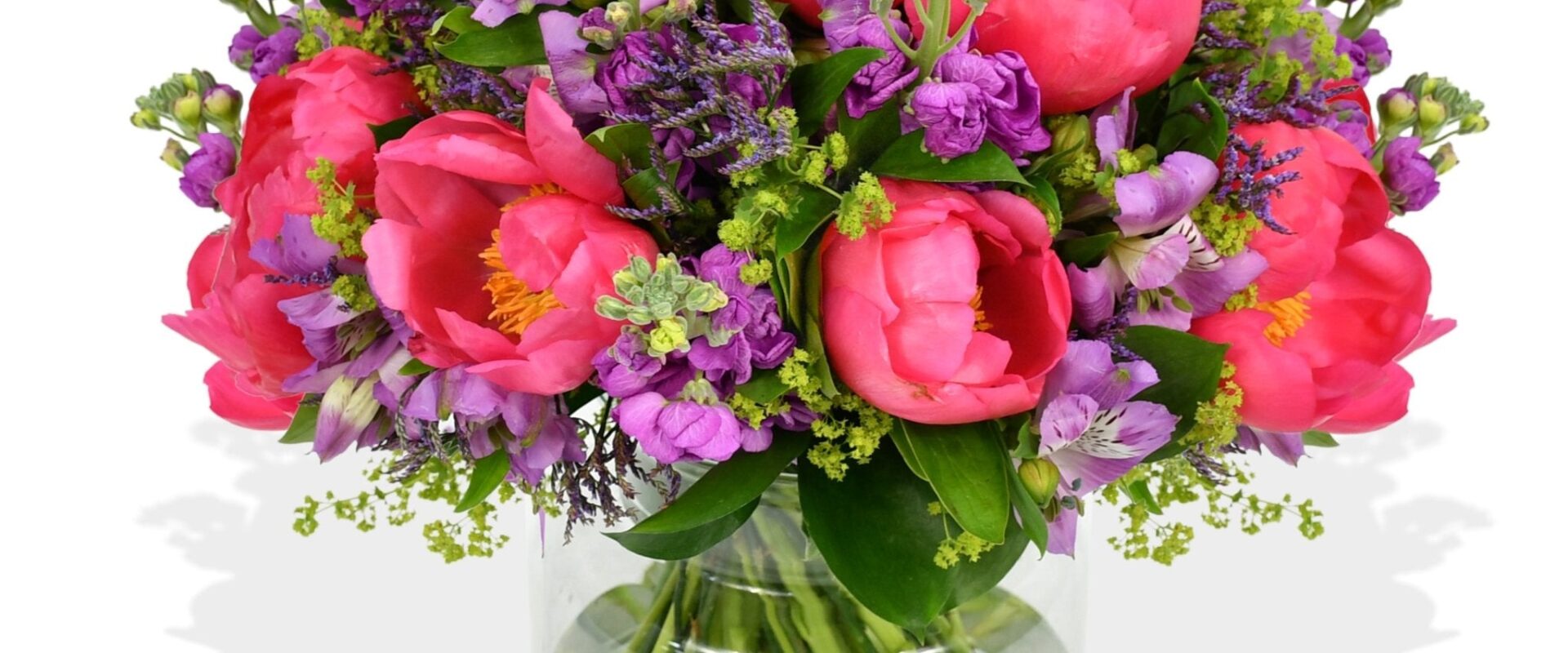 Vibrant Indoor and Outdoor Plant Collections