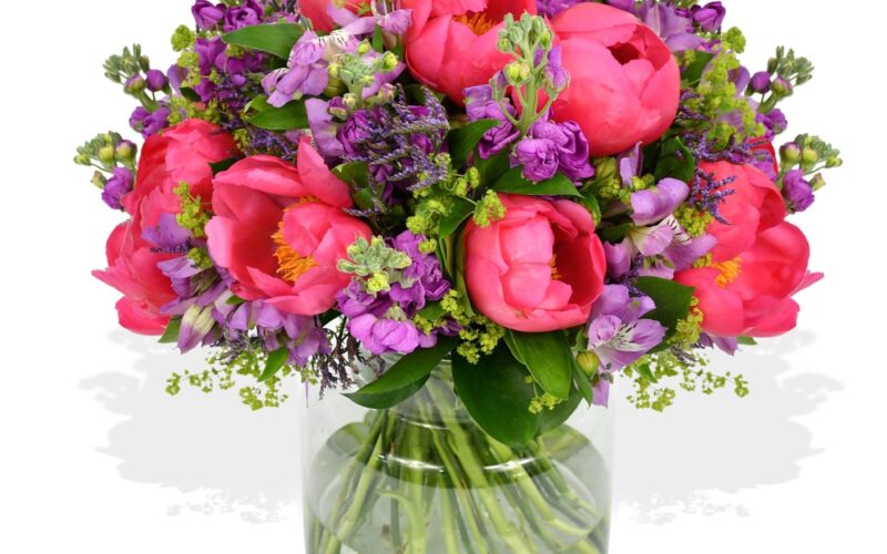 Vibrant Indoor and Outdoor Plant Collections