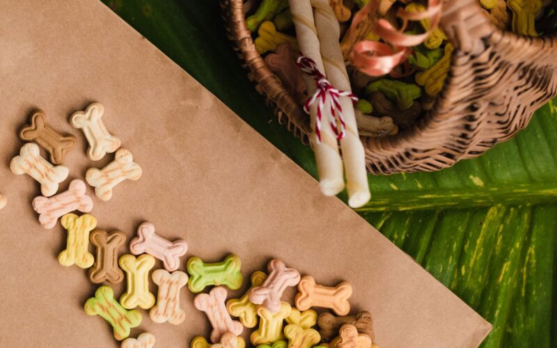 Premium Dog Treats Choosing Healthy Snacks Your Dog Will Love