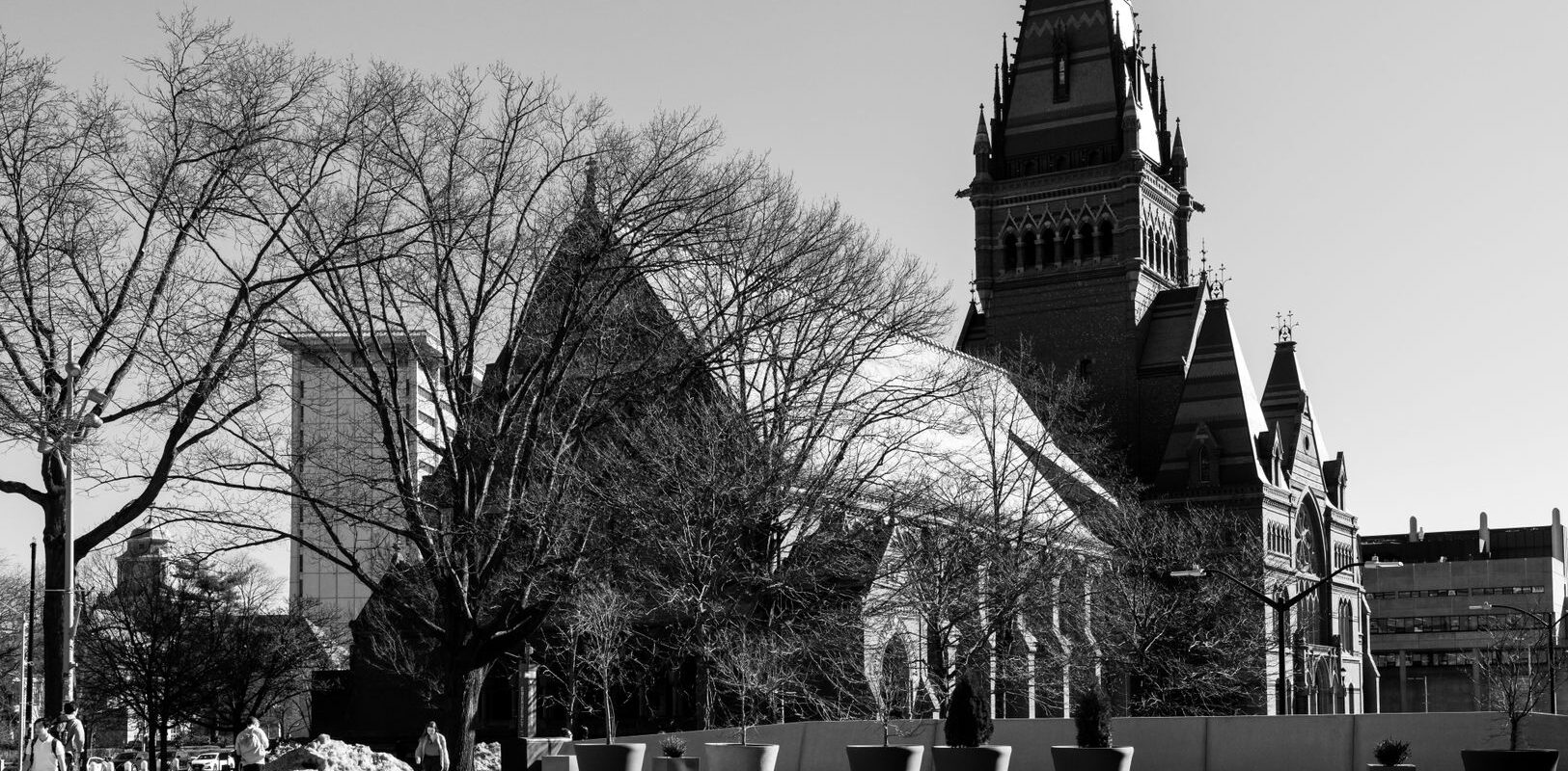 Accessible Higher Education University of the People Removes Barriers to Meaningful Degrees