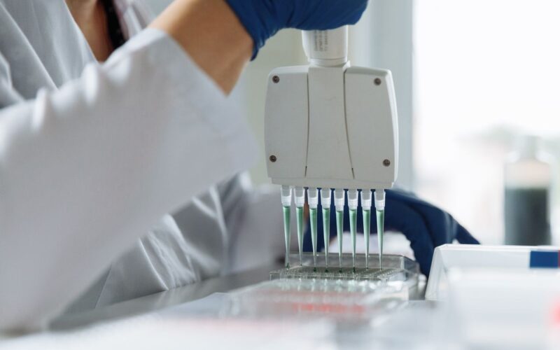 When Family Answers Matter: Understanding DNA Testing with AlphaBiolabs