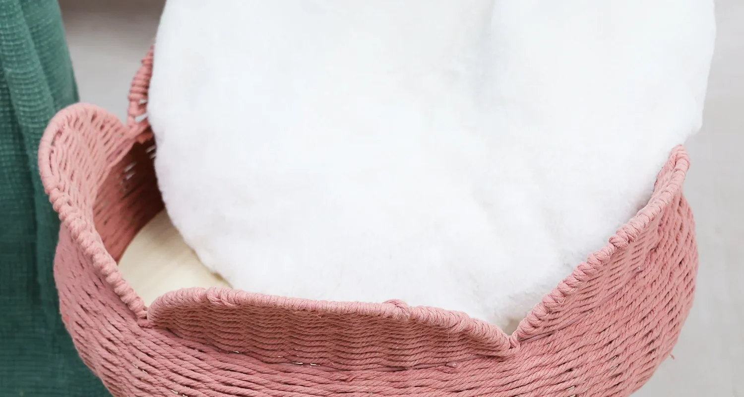 How Happy & Polly Makes Cat Furniture Easier to Live With