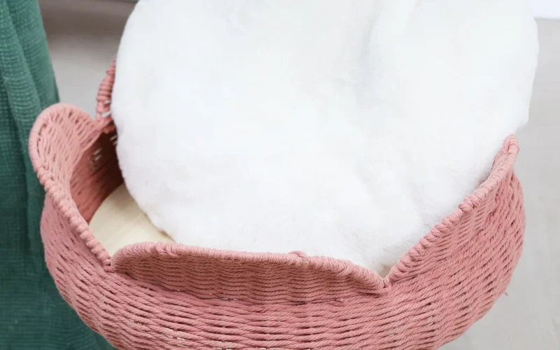How Happy & Polly Makes Cat Furniture Easier to Live With