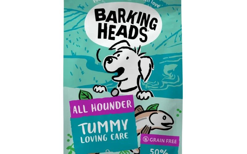 Barking Heads: What Should Actually Be in Your Dog’s Bowl?