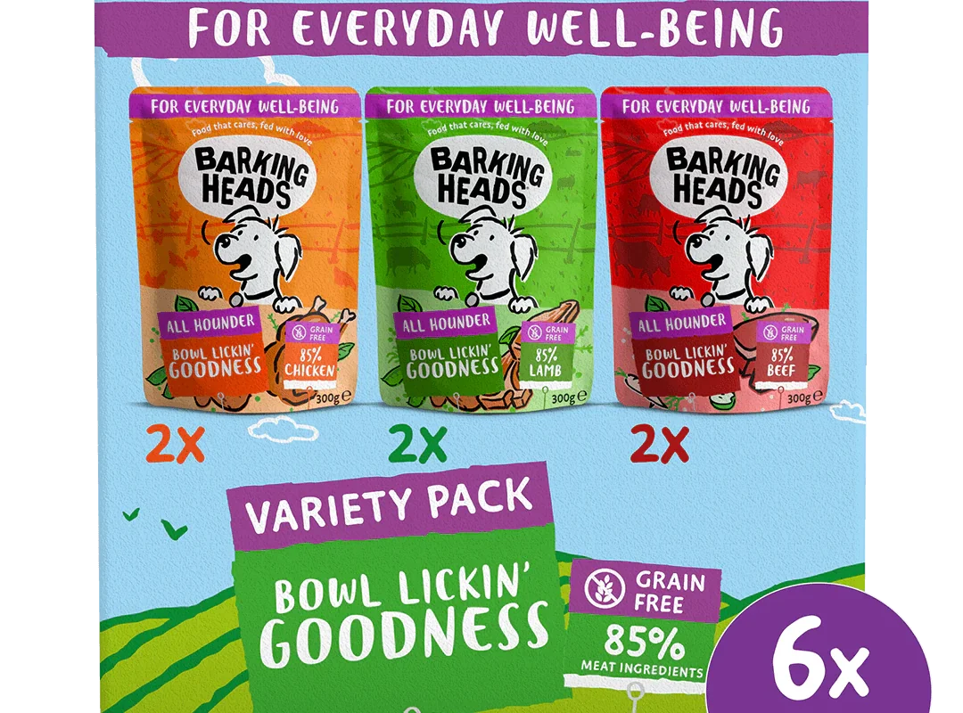 Barking Heads: A Smarter Way to Feed Dogs With Sensitive Stomachs