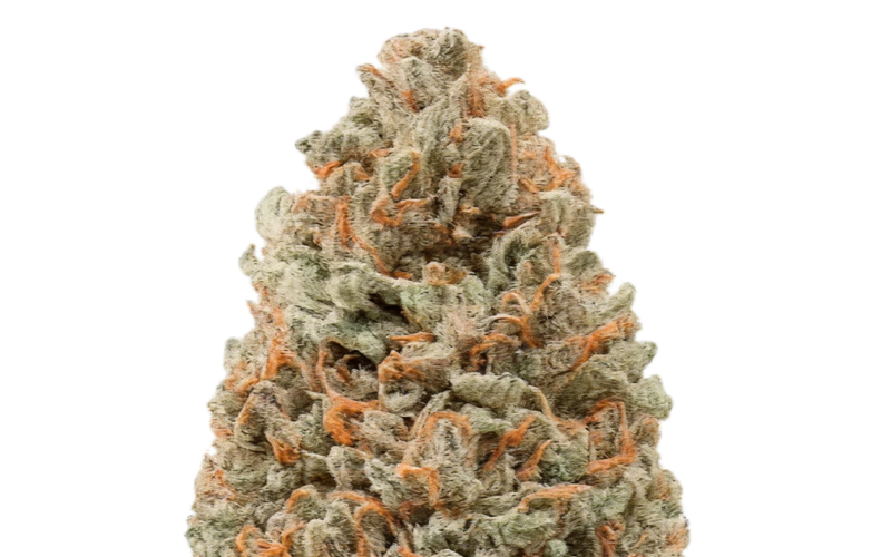 Binoid and the Changing Way People Explore Hemp-Derived THC