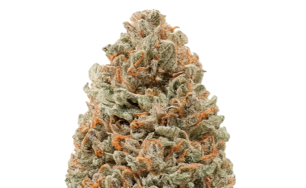 Binoid and the Changing Way People Explore Hemp-Derived THC