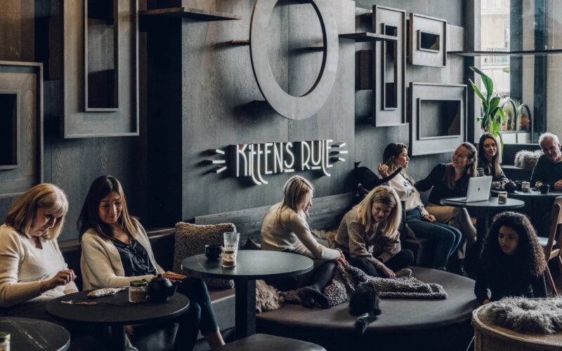 Rainy London Plans Just Got Furrier: Java Whiskers as a Family Day Out