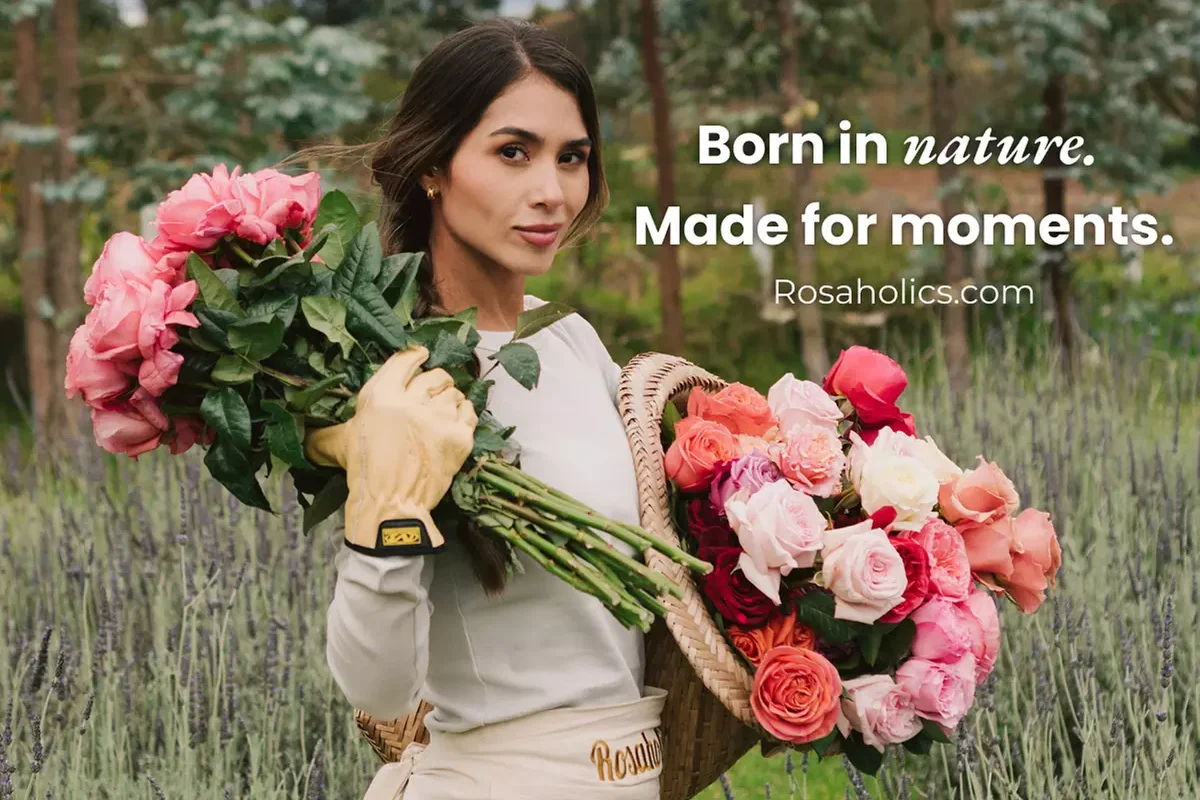 Rosaholics Flowers for Milestones That Deserve More Than an Ordinary Gift