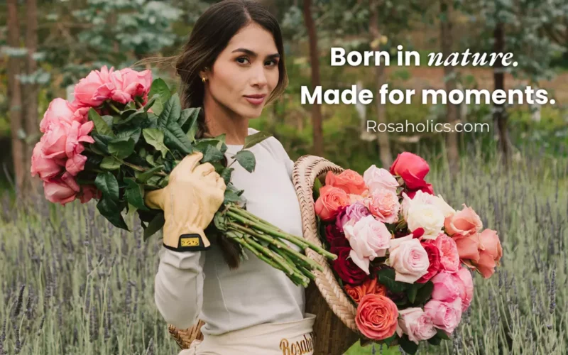Rosaholics Flowers for Milestones That Deserve More Than an Ordinary Gift