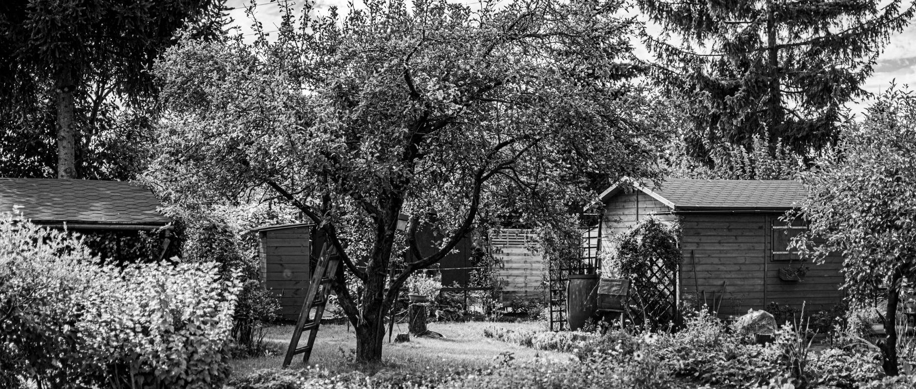 Modern Living Extends Outdoors The Contemporary Shed Revolution