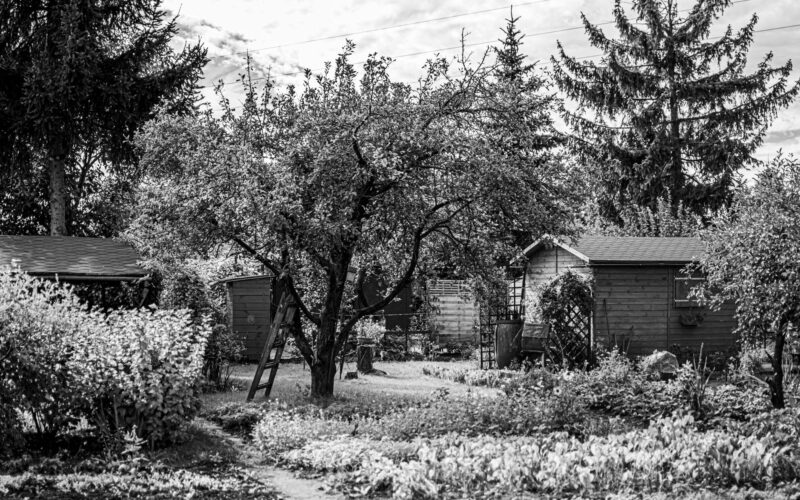 Modern Living Extends Outdoors The Contemporary Shed Revolution