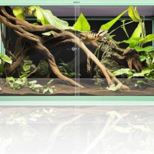 REPTI ZOO Review: Reptile Terrariums, UVB and Heat Kits