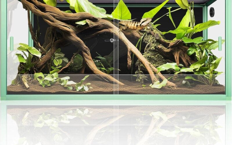 REPTI ZOO Review: Reptile Terrariums, UVB and Heat Kits